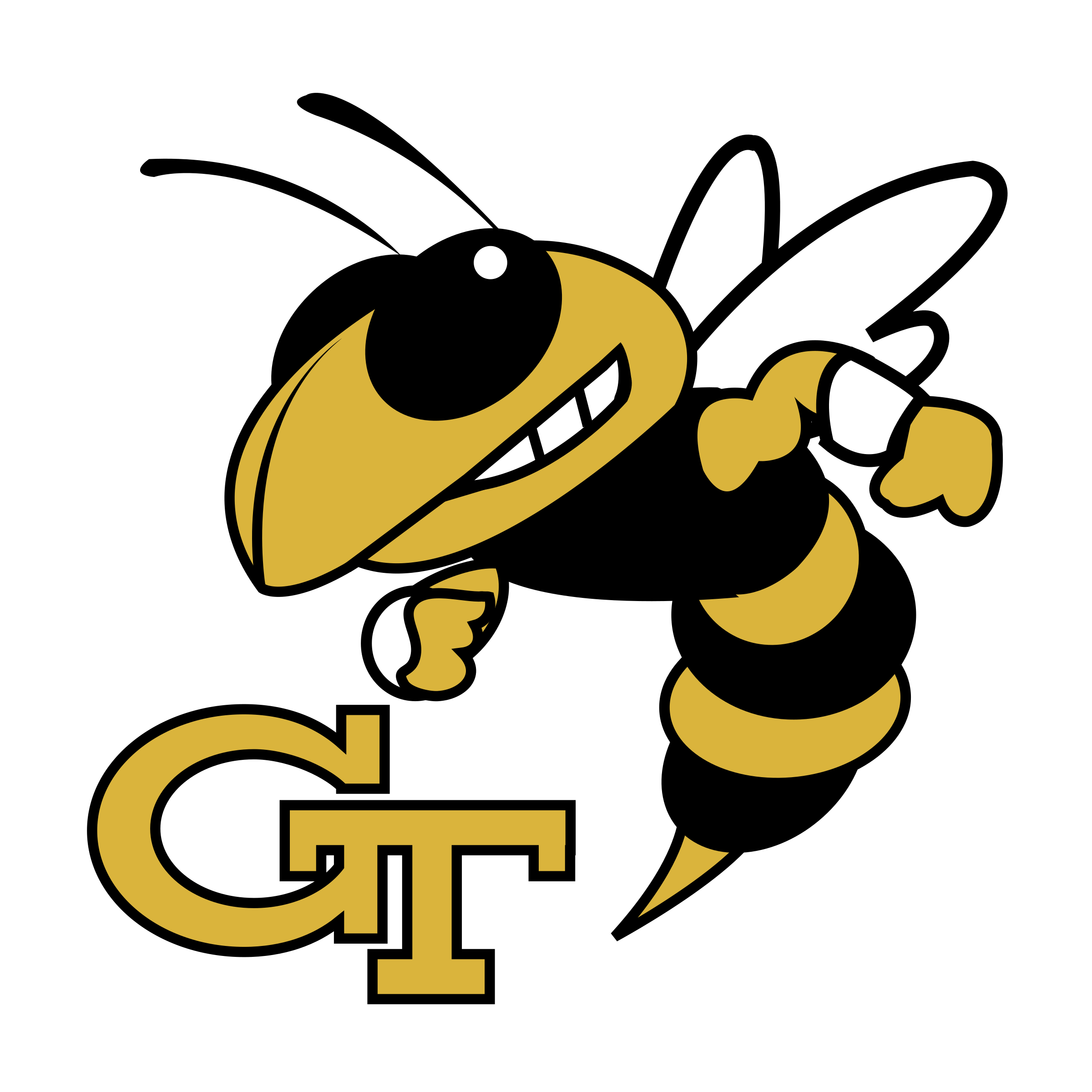 Georgia Tech Logo